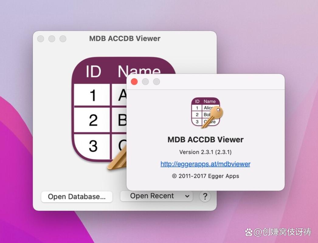 mdb编辑器推荐：轻松修改Access数据库