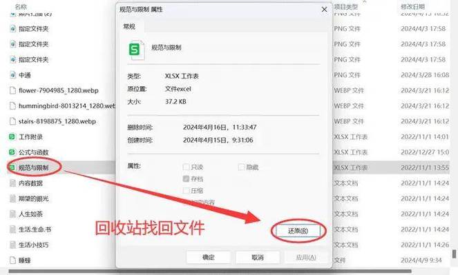 电脑文件删除不了？你需要一款强行删除工具
