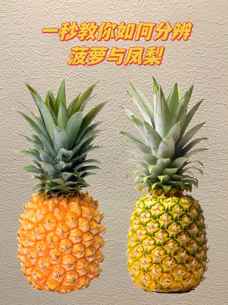 到底什么是凤梨？它和菠萝是不是同一种水果？