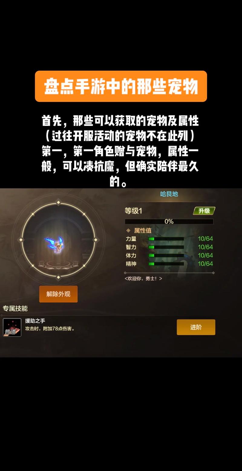 DNF手游宠物大全：最强宠物获取途径及强度排名