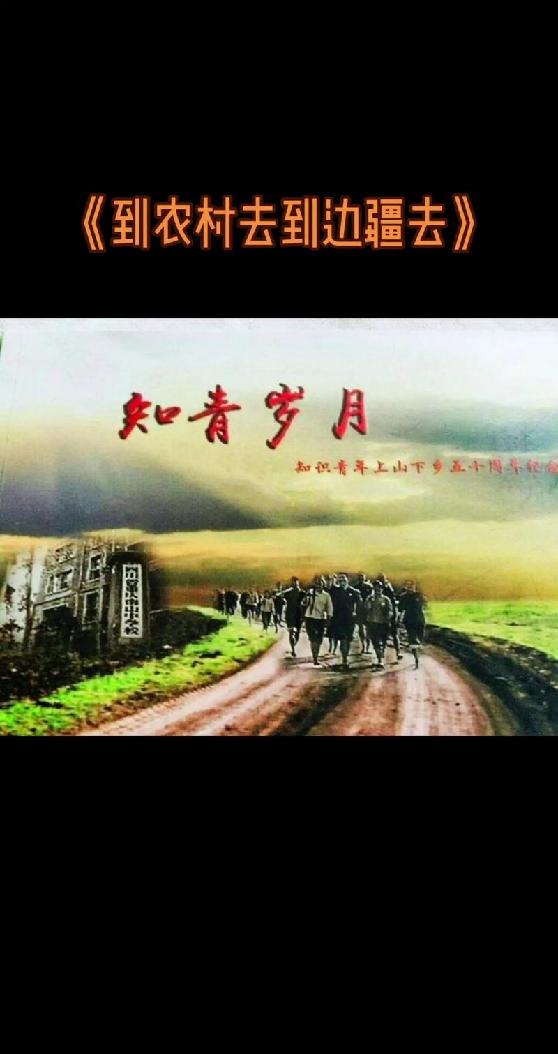回忆知青岁月：经典电视剧带你重温那段历史