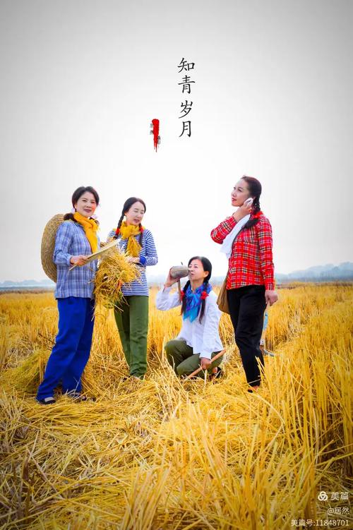 回忆知青岁月：经典电视剧带你重温那段历史