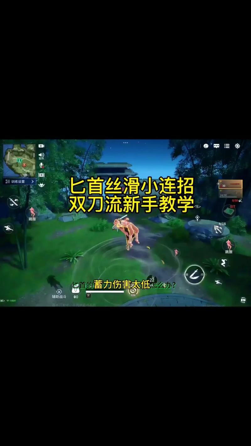 刀剑双刀连招视频教程：一看就会的实用连招教学
