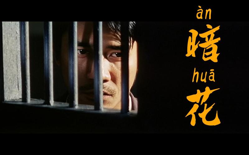 暗花QVOD在线观看：枪决前夕的惊天秘密
