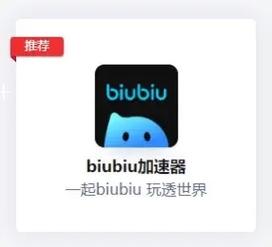 biubiu加速器下载：告别游戏网络难题