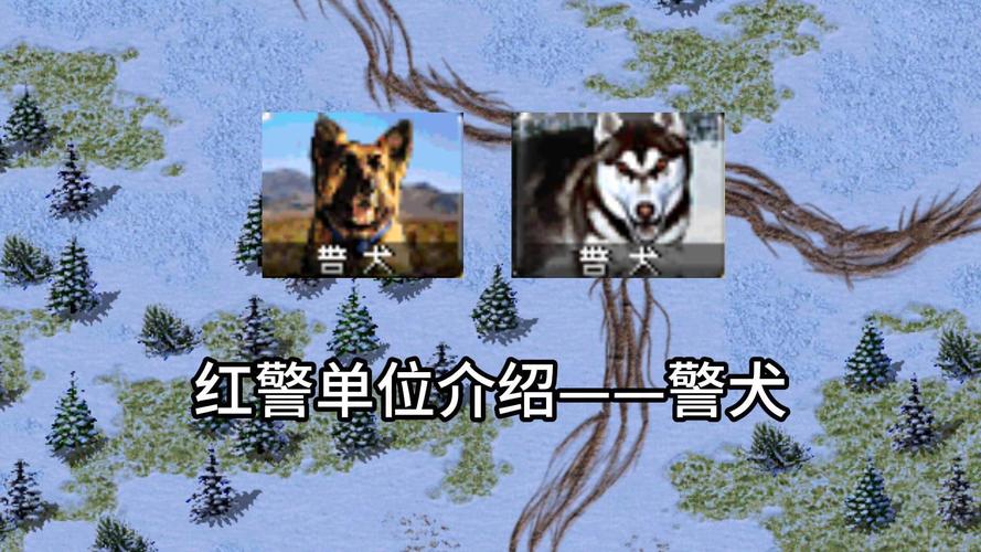 红警2红警狐：狐狸与猎犬的较量，策略制胜的关键