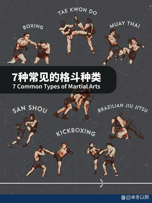 侍魂2出招表大全：新手必备格斗游戏技巧详解