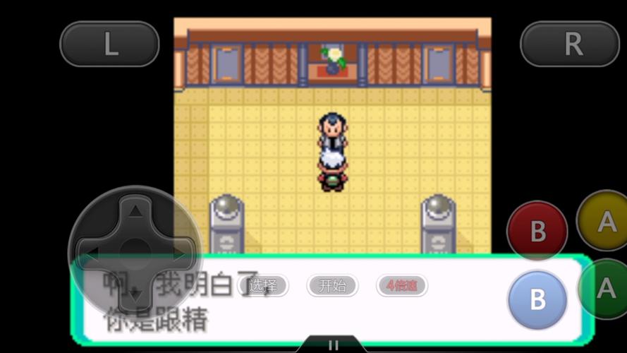 口袋妖怪绿宝石快速通关攻略：效率升级练级技巧