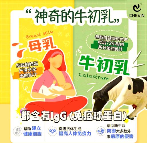 乳牛物语：牛奶是怎么来的？带你了解乳牛的一生