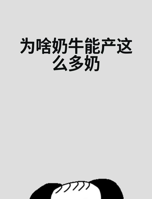乳牛物语：牛奶是怎么来的？带你了解乳牛的一生