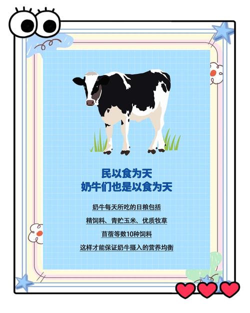 乳牛物语：牛奶是怎么来的？带你了解乳牛的一生