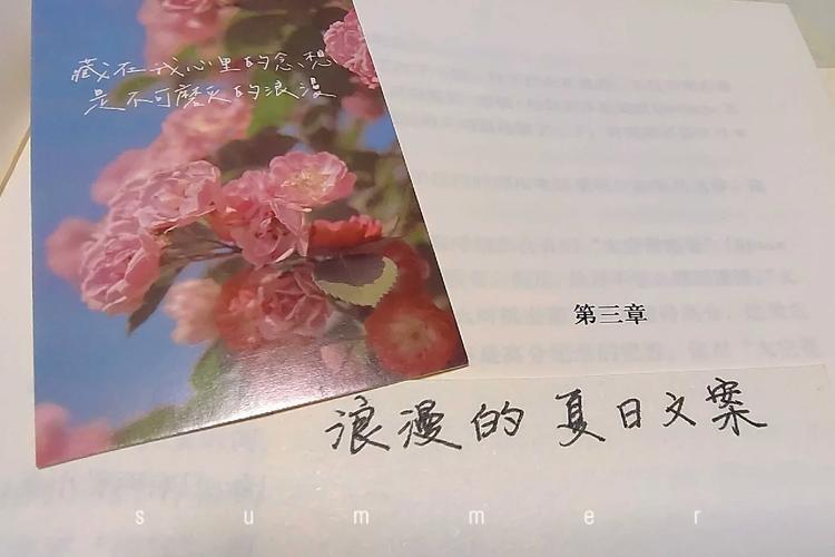 夏日狂想曲：青春的旋律，盛夏的浪漫回忆