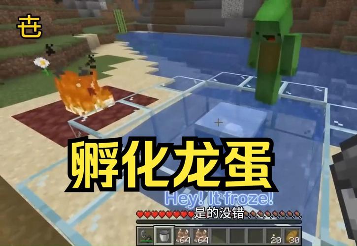 我的世界：末影龙蛋怎么孵化？详细步骤及技巧