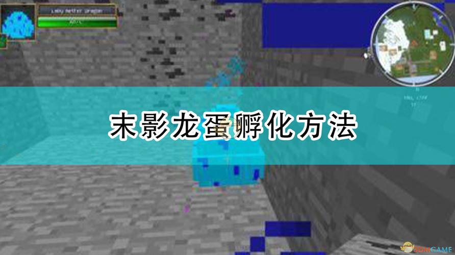 我的世界：末影龙蛋怎么孵化？详细步骤及技巧