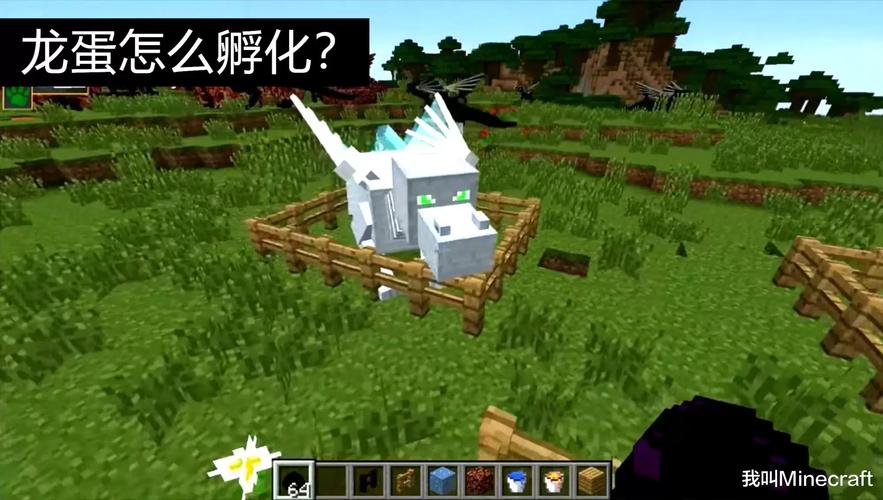 我的世界：末影龙蛋怎么孵化？详细步骤及技巧