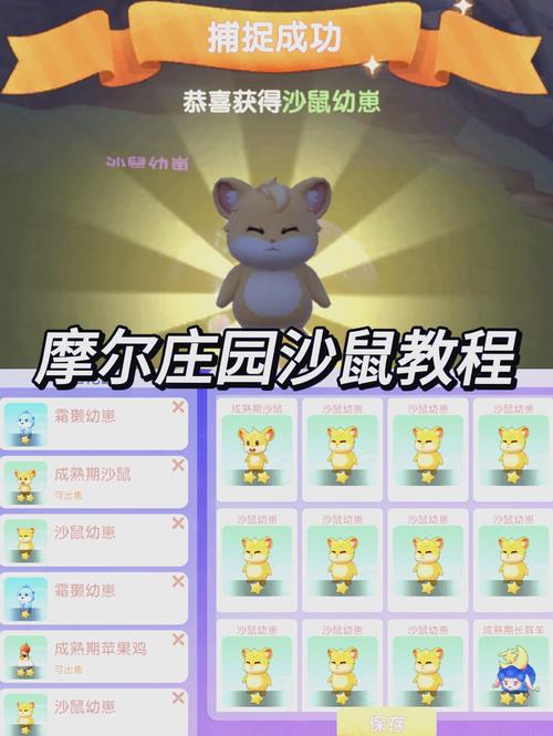 摩尔庄园精灵捕捉攻略：新手必看详细步骤