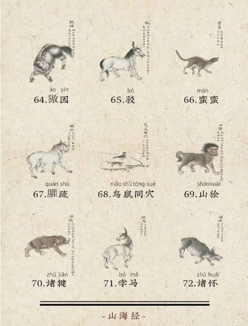 山海经异兽录：揭秘中国古代的神秘异兽图鉴