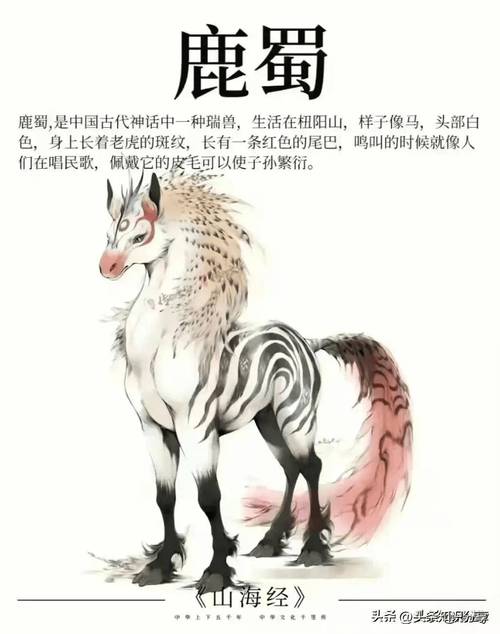 山海经异兽录：揭秘中国古代的神秘异兽图鉴