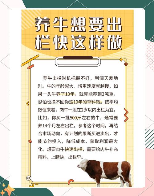 保护老牛生存指南：详解游戏策略与技巧
