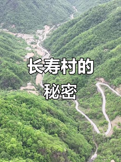探秘长寿村NPC：隐藏彩蛋和趣味互动