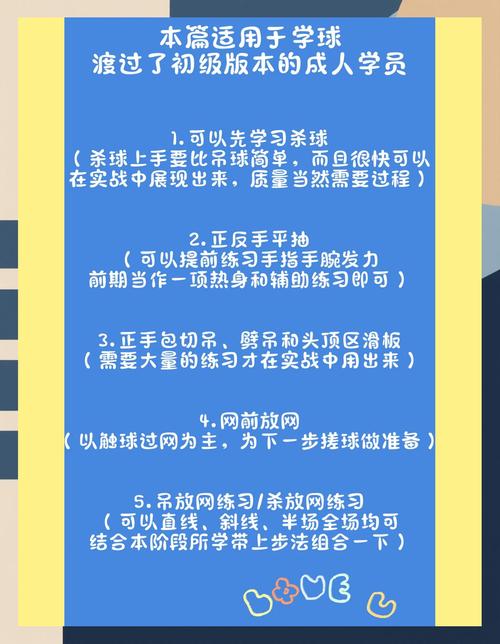 一球成名攻略：快速提升球员能力的技巧分享
