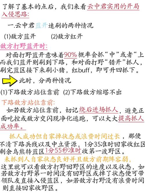 王者荣耀打野英雄排名及技巧：简单易懂的打野教学，助你成为大神！