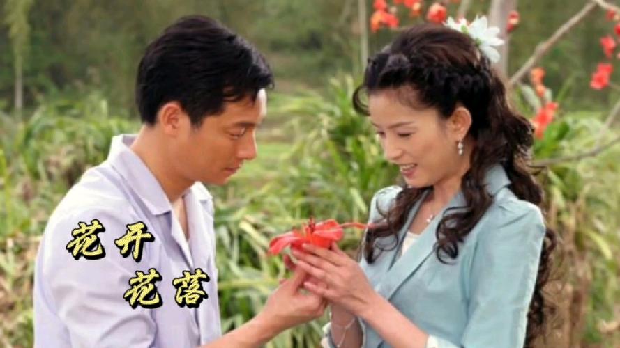那些年我们追过的剧：木棉花春天回忆杀