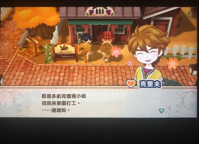 牧场物语游戏攻略：从菜鸟到高手进阶