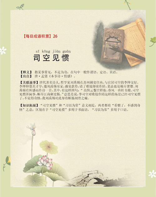 从司空见惯到深入了解：蚂蚁世界的秘密