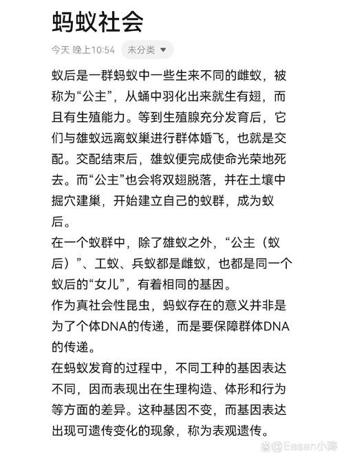 从司空见惯到深入了解：蚂蚁世界的秘密