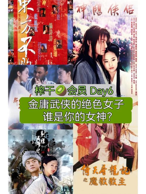武侠大宗师：国术高手闯金庸世界
