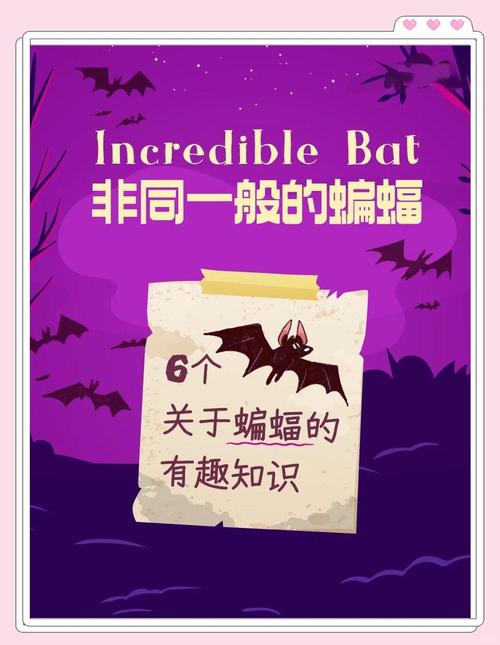 蚂蚁庄园趣味问答：关于蝙蝠，你知道这些吗？