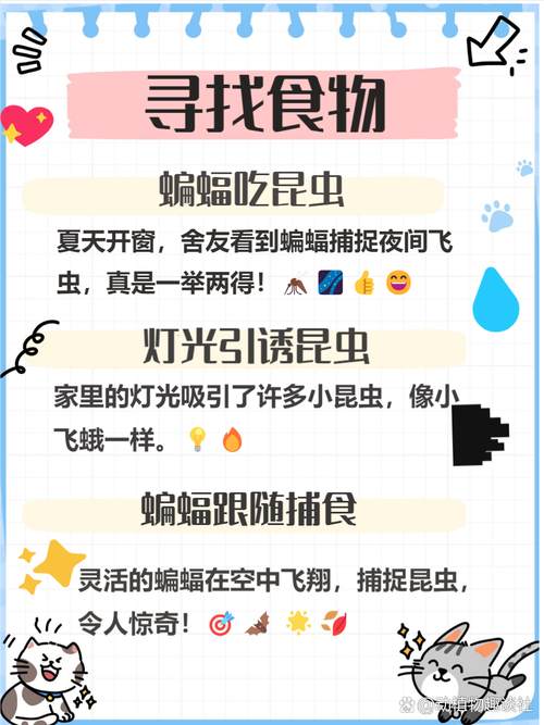 蚂蚁庄园趣味问答：关于蝙蝠，你知道这些吗？