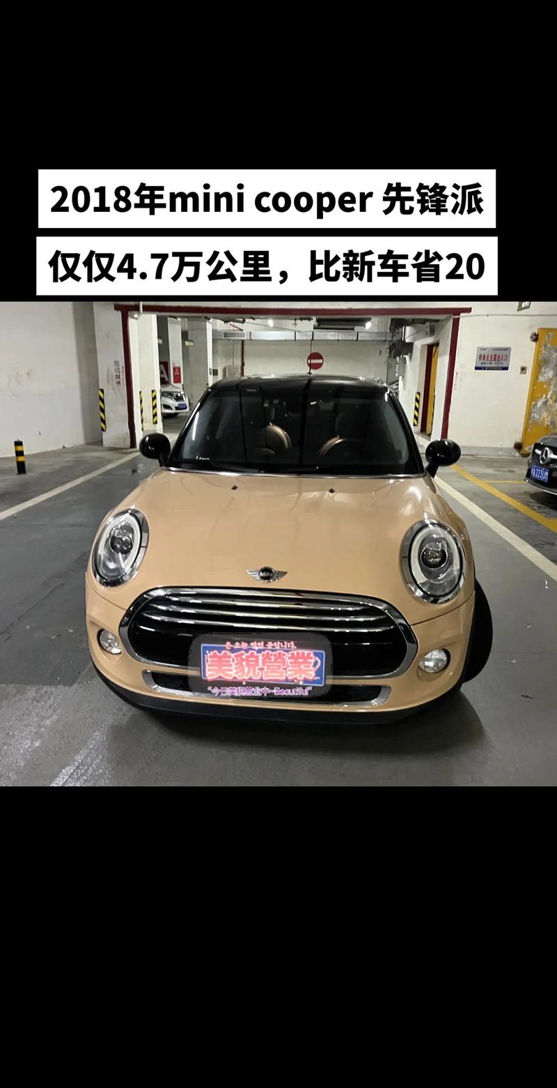 迷你罗特斯价格及购买方式：DNF宠物市场价格分析