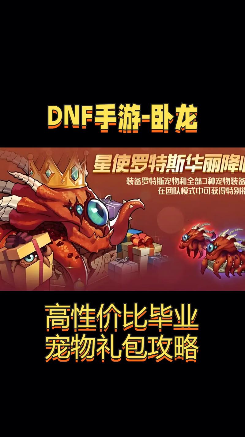 迷你罗特斯价格及购买方式：DNF宠物市场价格分析
