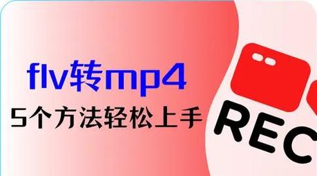 如何选择合适的FLV解码器？避免播放卡顿