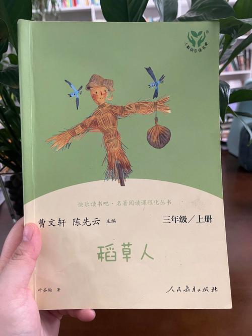 稻草人书屋安全吗？揭秘小说网站的安全性与可靠性