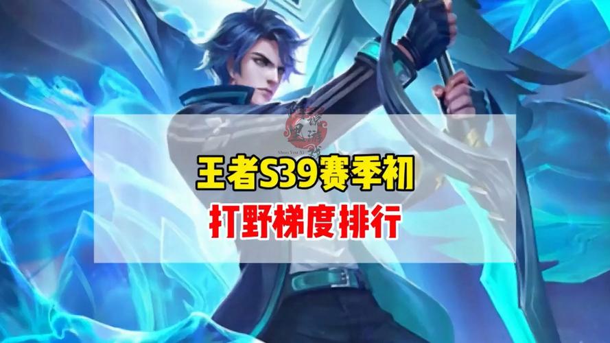 王者荣耀打野英雄排名及技巧：简单易懂的打野教学，助你成为大神！